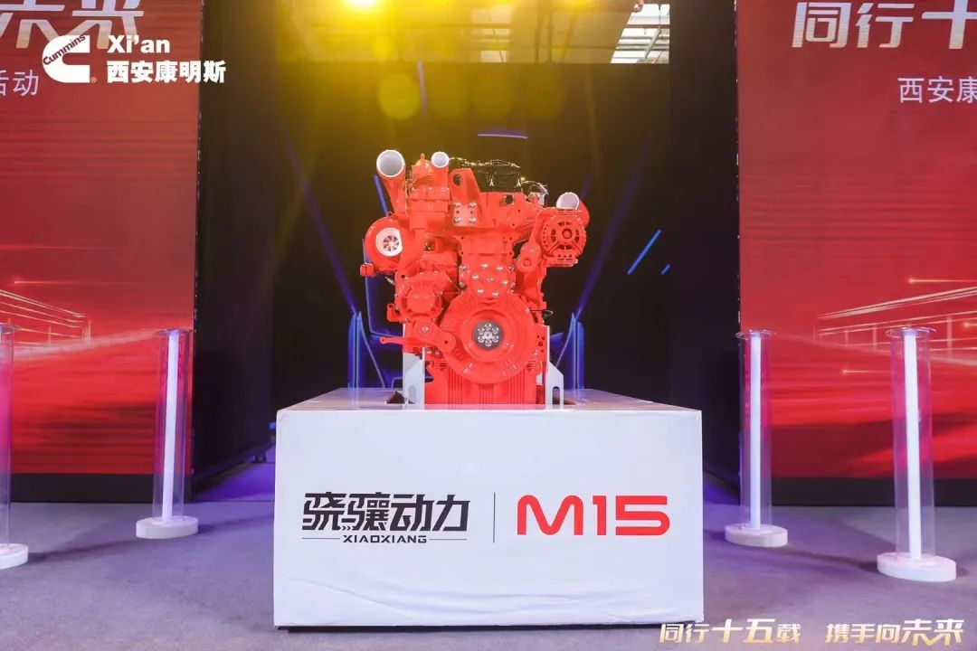 1669169522756309.jpg 10.jpg